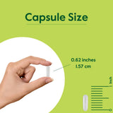BESTVITE cápsula en mano para comparar escala y comodidad