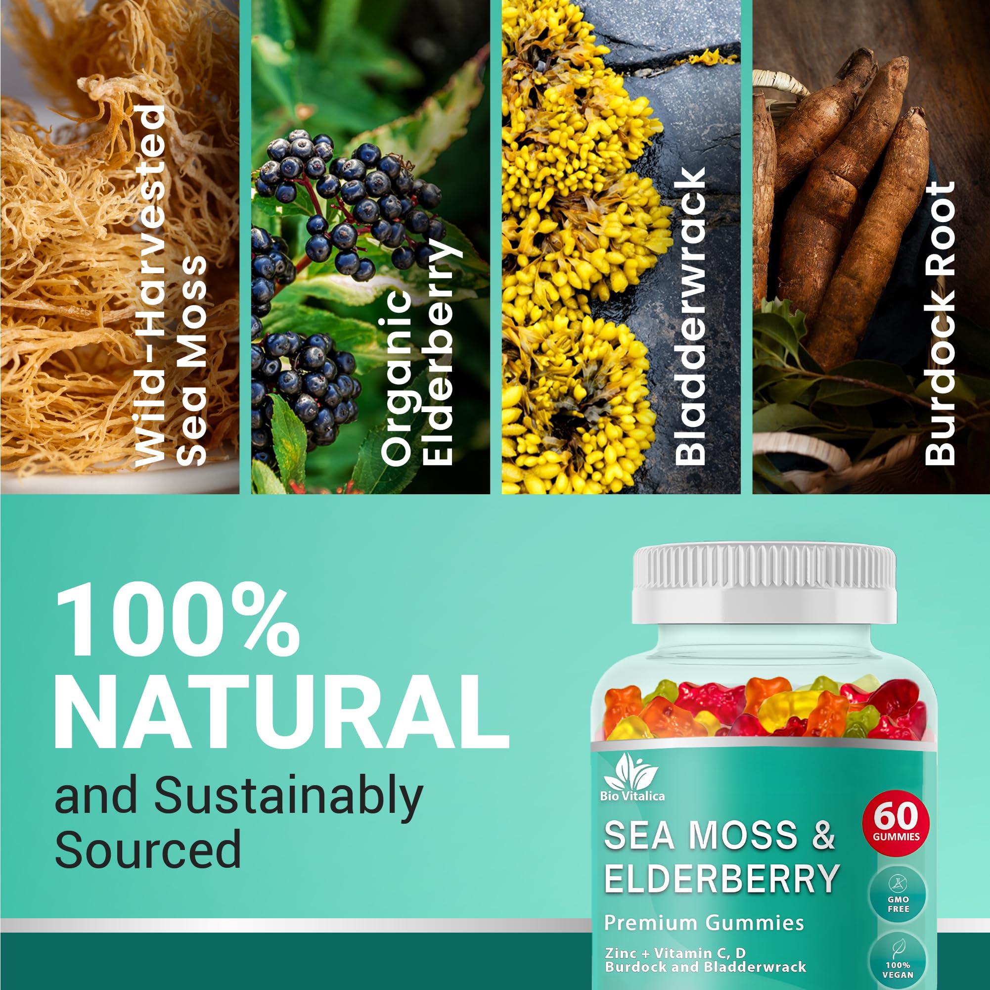 BIO VITALICA ingredientes naturales sea moss y saúco en detalle