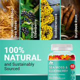 BIO VITALICA textura cercana de gominola mostrando aspecto apetecible