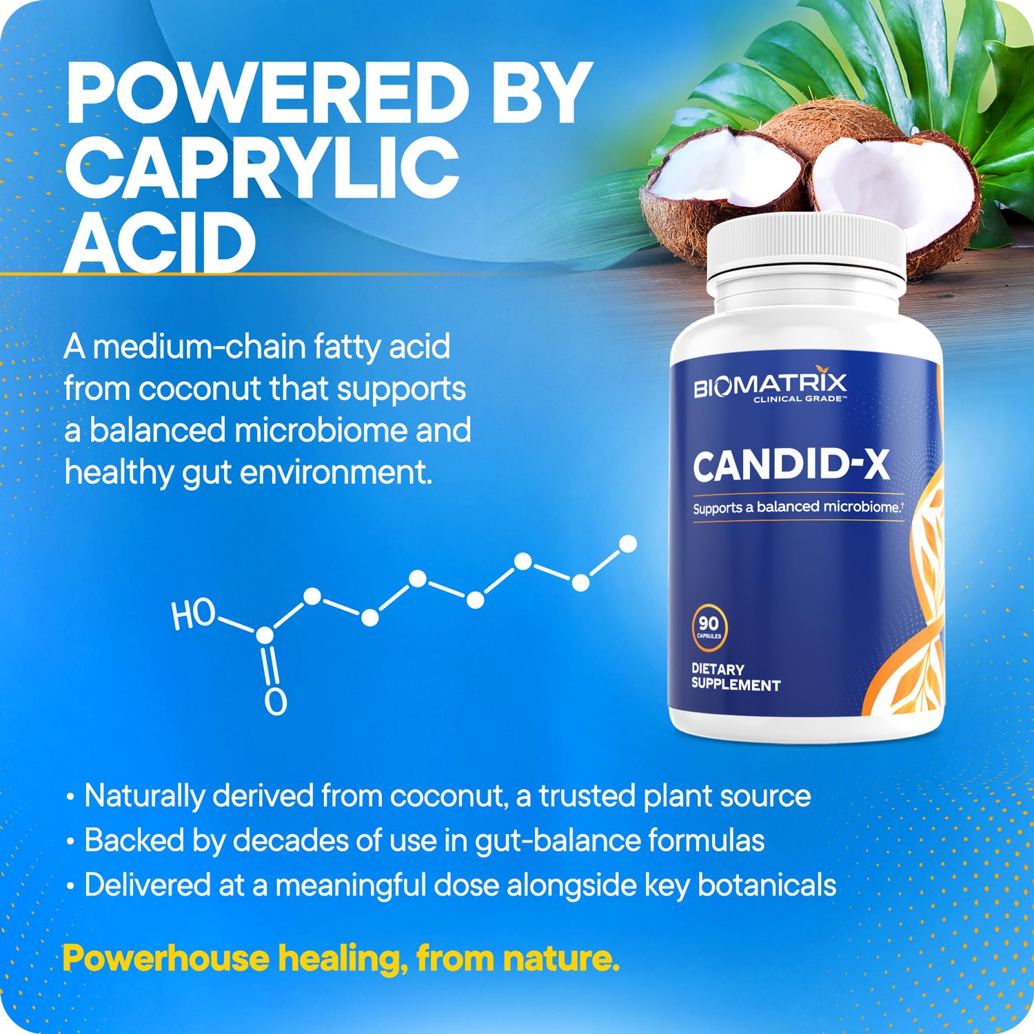 BioMatrix Candid-X junto a desayuno saludable para integración diaria