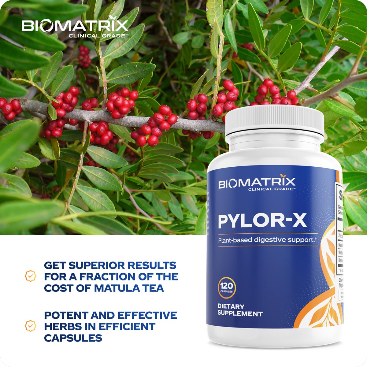 BioMatrix Pylor-X tamaño en mano para comparar porción y dosificación práctica