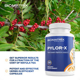BioMatrix Pylor-X tamaño en mano para comparar porción y dosificación práctica