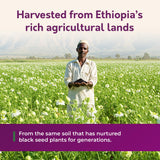 BioNatal aplicación tópica en cuero cabelludo, aceite nutritivo y de absorción