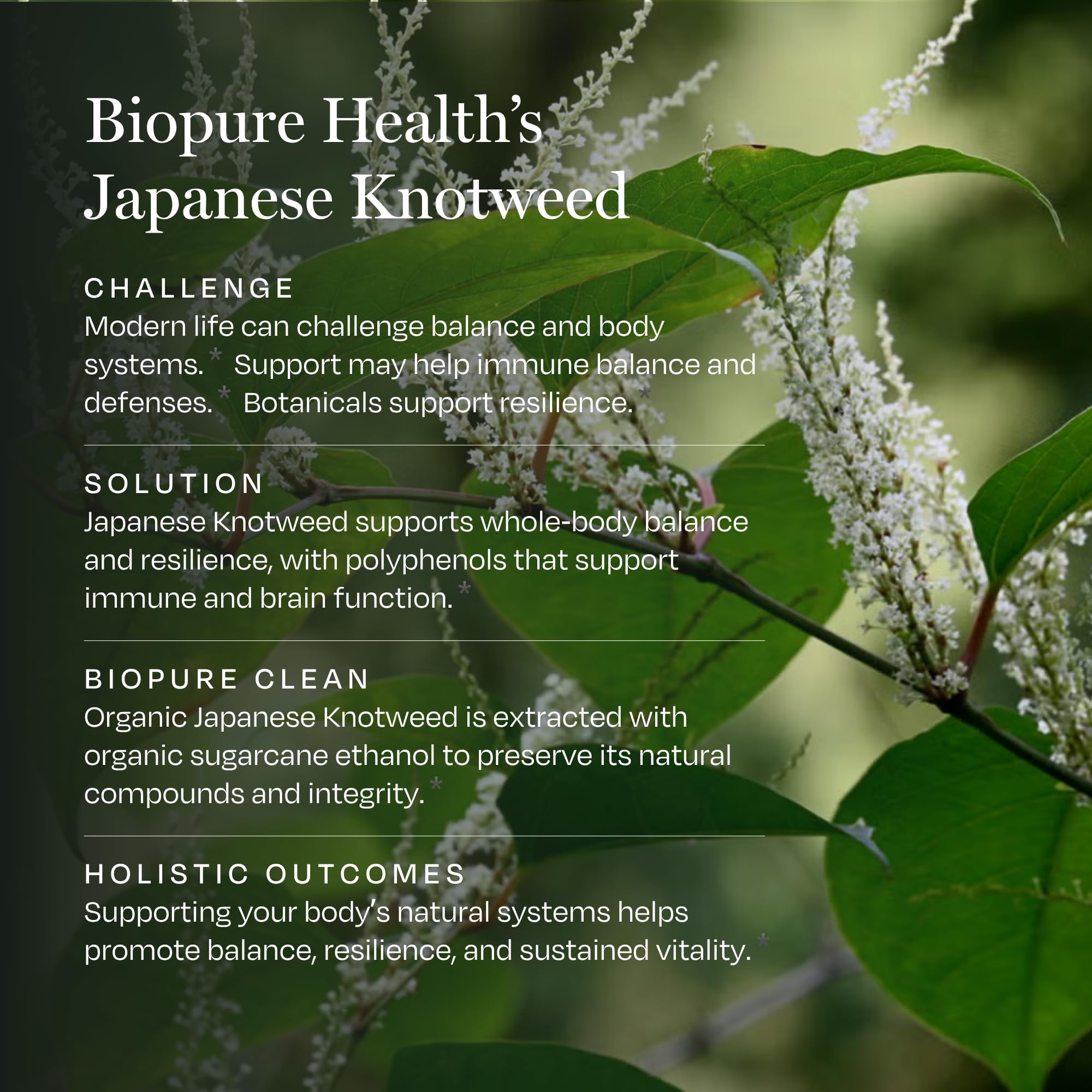 BioPure etiqueta con lista de ingredientes clara, transmite transparencia y confianza