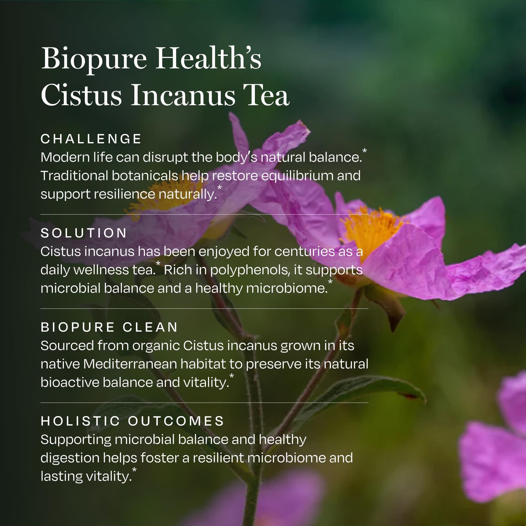 BioPure infusor en uso extrayendo compuestos beneficiosos del Cistus