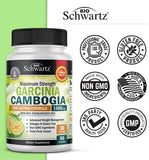 BioSchwartz cápsula en la mano para comparar tamaño y dosificación