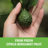 BioSchwartz ingredientes con fruta fresca de bergamota para mayor pureza