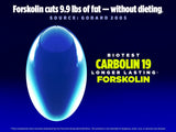 Biotest Carbolin-19 primer plano de cápsula destacando la dosificación y conveniencia