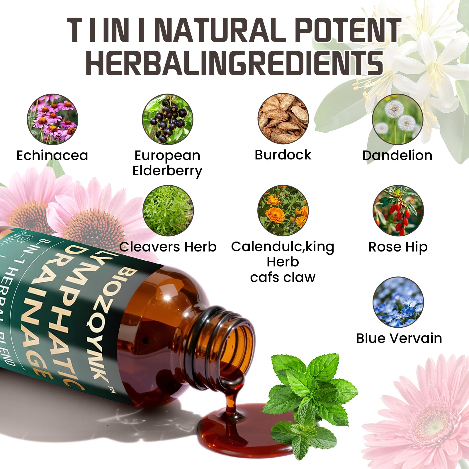 BIOZQYNK etiqueta detalle de ingredientes para transparencia y lectura clara