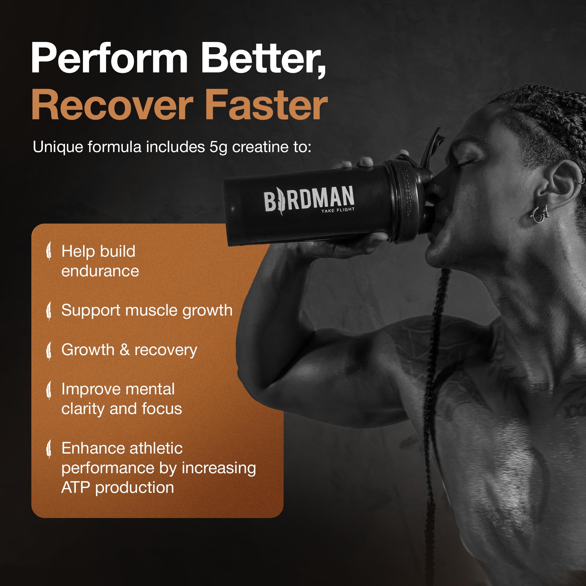 BIRDMAN Falcon ingredientes activos organizados, destaca proteína, creatina y probióticos