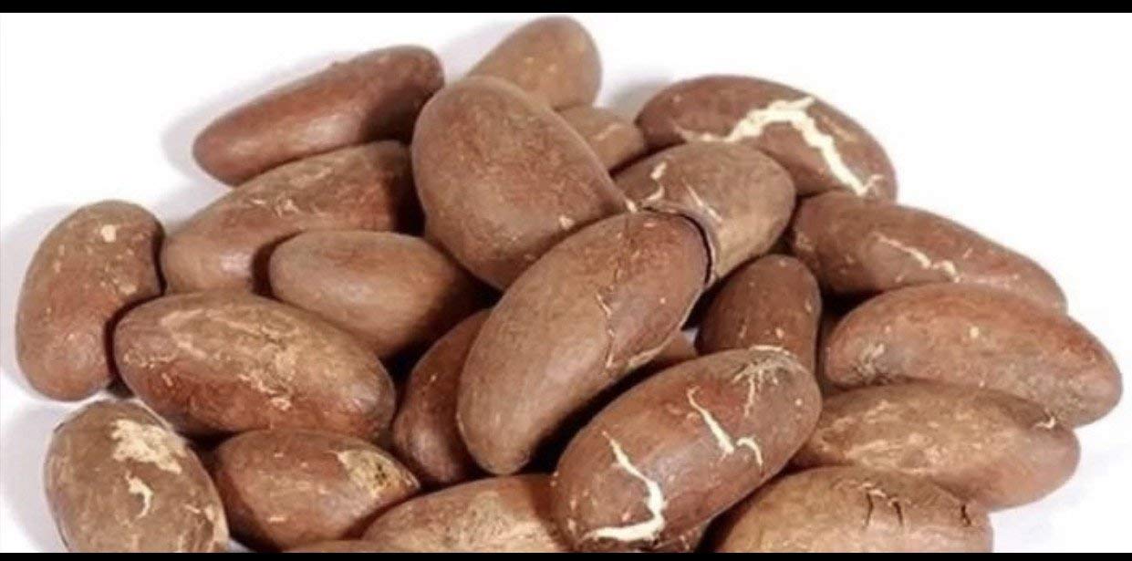 Bitter Kola Nut paquete frontal mostrando 1 lb y semillas frescas, ideal para probar sabor auténtico