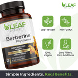 B'Leaf Nature ingredientes clave: berberis, proteína de guisante y semilla de uva, beneficio antioxidante