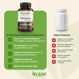 B'Leaf Nature cápsula junto a moneda para ver escala, beneficio dosificación fácil