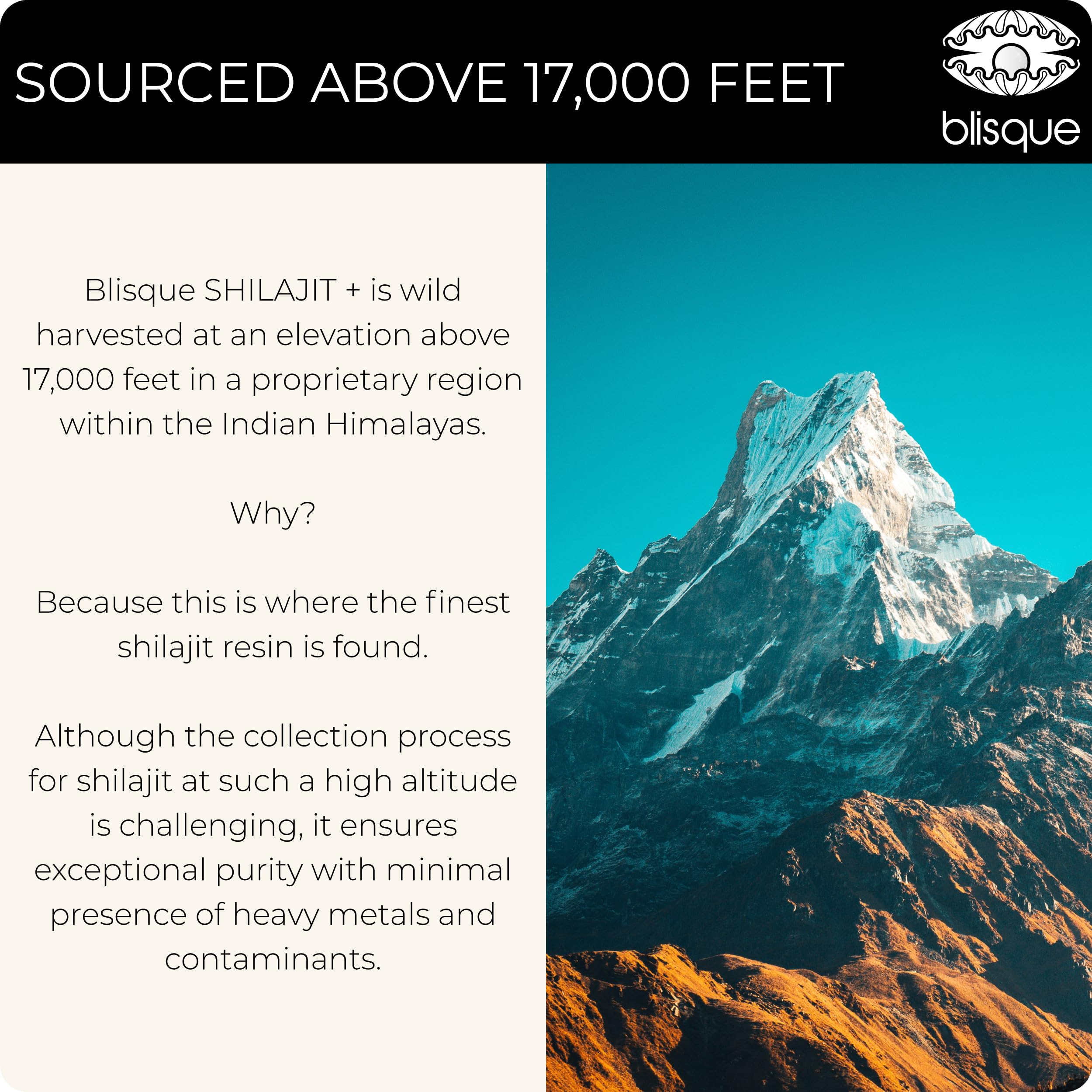 Blisque paisaje Himalaya indicando origen silvestre a gran altitud