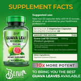 BLIVA NUTRITION cápsula vegetariana en primer plano con textura uniforme