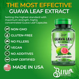 BLIVA NUTRITION cápsulas en palma para comparar tamaño y dosis