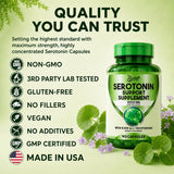 BLIVA NUTRITION escena de estilo de vida relajado mostrando efecto calmante
