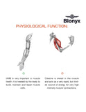 Blonyx etiqueta con información y pruebas de calidad visibles
