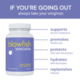 Blowfish Wingman en mano para comparar tamaño y llevar fácil