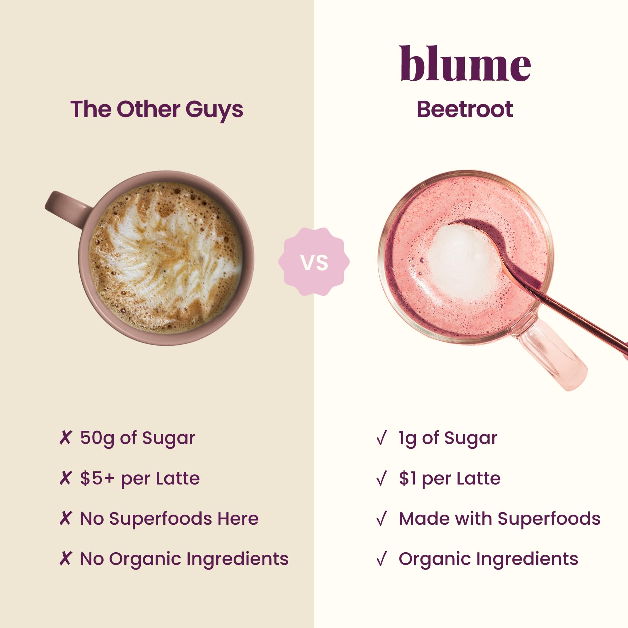 Blume ingredientes dispuestos: remolacha y especias, sabor y nutrientes vegetales