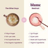 Blume ingredientes dispuestos: remolacha y especias, sabor y nutrientes vegetales