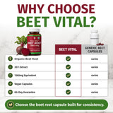 Body Beet Vital detalle de cápsula abierta mostrando contenido, formulación pura