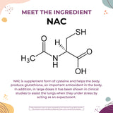 Body Kitchen ingredientes clave NAC y quercetina representados con claridad