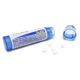 Boiron Chamomilla pellets en mano listos para disolver bajo la lengua, administración rápida