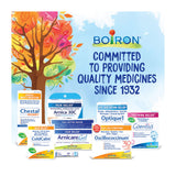 Boiron Cina en ambiente familiar, uso discreto y cómodo para niños