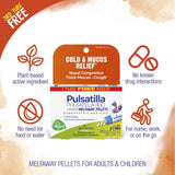 Boiron pellets cerca mostrando aspecto y facilidad de disolución
