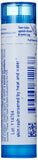 Pellets de Boiron Sulphur 30C primer plano que muestra textura y facilidad de disolución