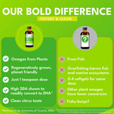 Bold Botanica cucharadita en mano para dosificación sencilla
