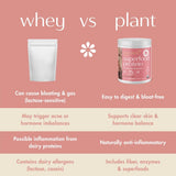 Polvo de Boobie Body en primer plano, textura fina y mezcla fácil de preparar