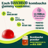 Gomitas BoochBod en escena de estilo de vida para uso sobre la marcha