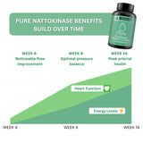 BoostCeuticals etiqueta con lista de ingredientes y certificación GMP visible