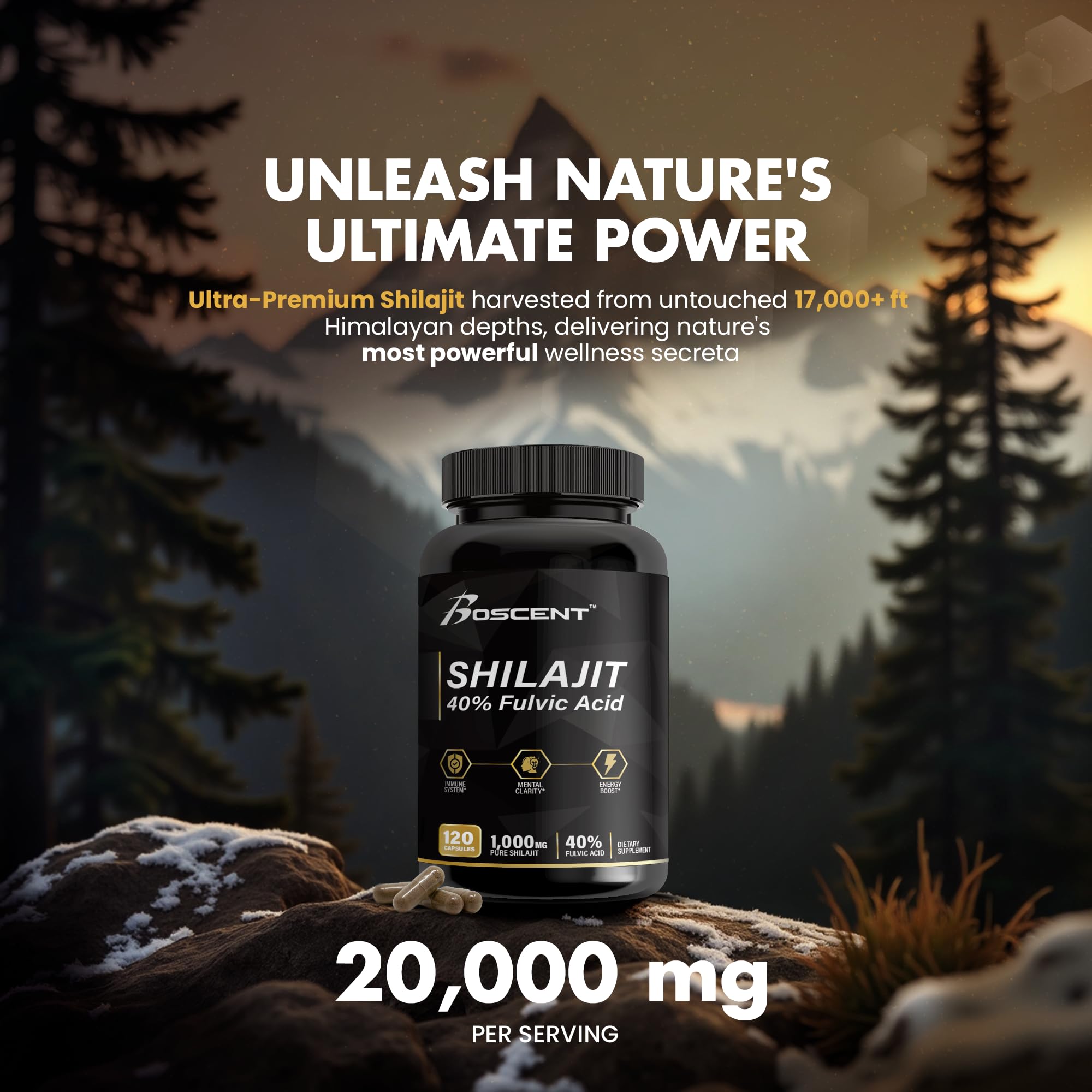 BOSCENT polvo de shilajit en primer plano, ilustra textura y concentración