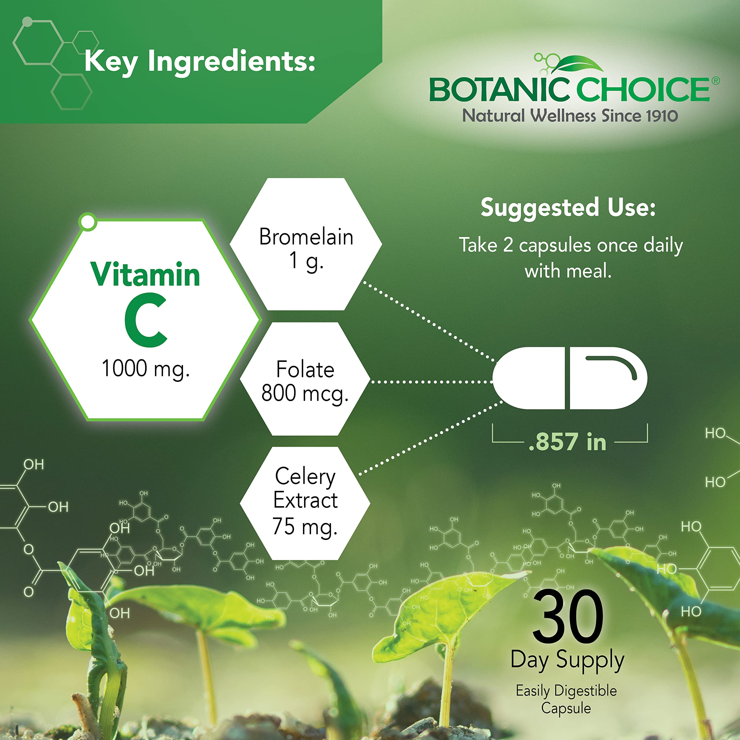 Botanic Choice cápsulas en mano para comparar tamaño y facilidad de ingestión