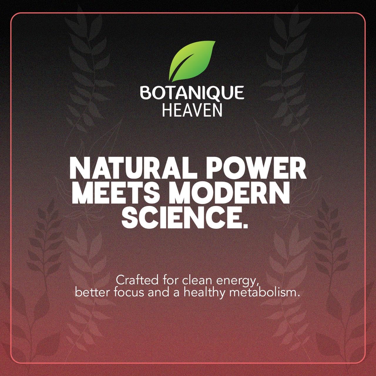 Botanique Heaven en equipo deportivo ilustrando uso preentreno