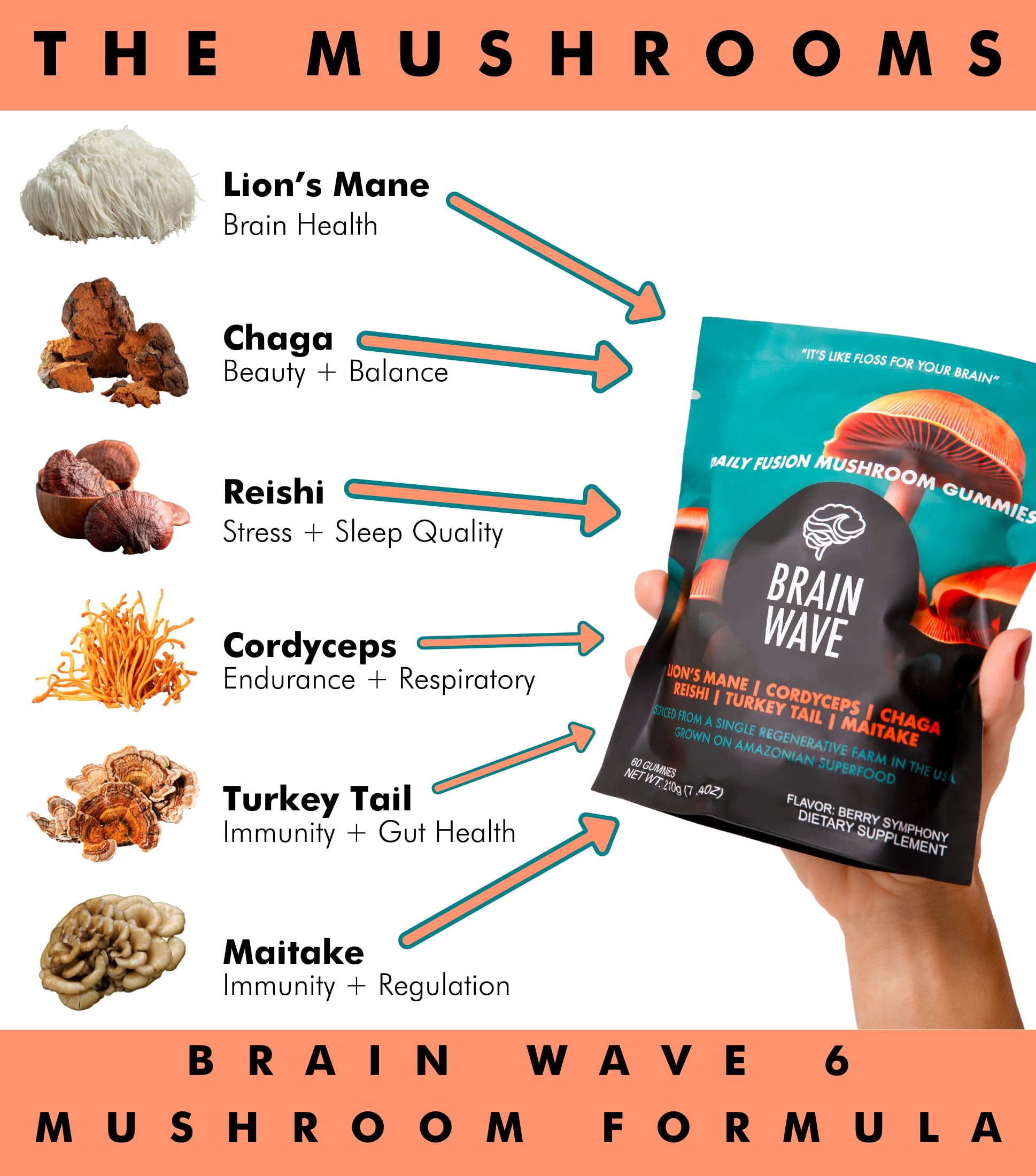 BRAIN WAVE gomitas en mano para comparar tamaño y facilidad
