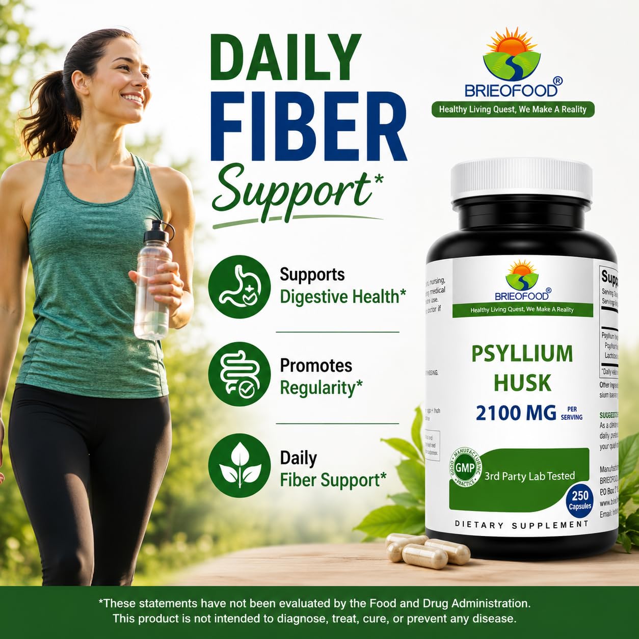 Brieofood textura del polvo de psyllium en primer plano mostrando pureza