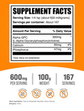 BulkSupplements polvo Alpha GPC en primer plano destacando textura fina y pureza