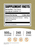 BulkSupplements close-up del polvo de extracto de champiñón blanco para apreciar textura