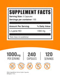 BulkSupplements primer plano de cápsula abierta mostrando polvo fino, calidad