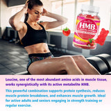 BVIVLOO lifestyle en gimnasio y viaje mostrando portabilidad y conveniencia
