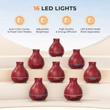 BZseed comparado con una mano para mostrar la escala y la capacidad de 550 ml