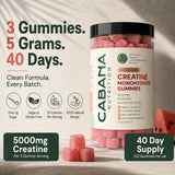 Cabana Nutrition gomita en mano muestra tamaño portátil