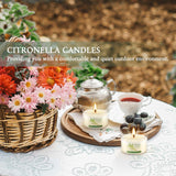 CAKETYCG caja abierta con 40 unidades lista para usar