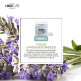 CANDLE-LITE vela encendida en sala, crea ambiente relajante y acogedor
