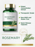 Carlyle Rosemary Capsules en mano para comparar escala y porción