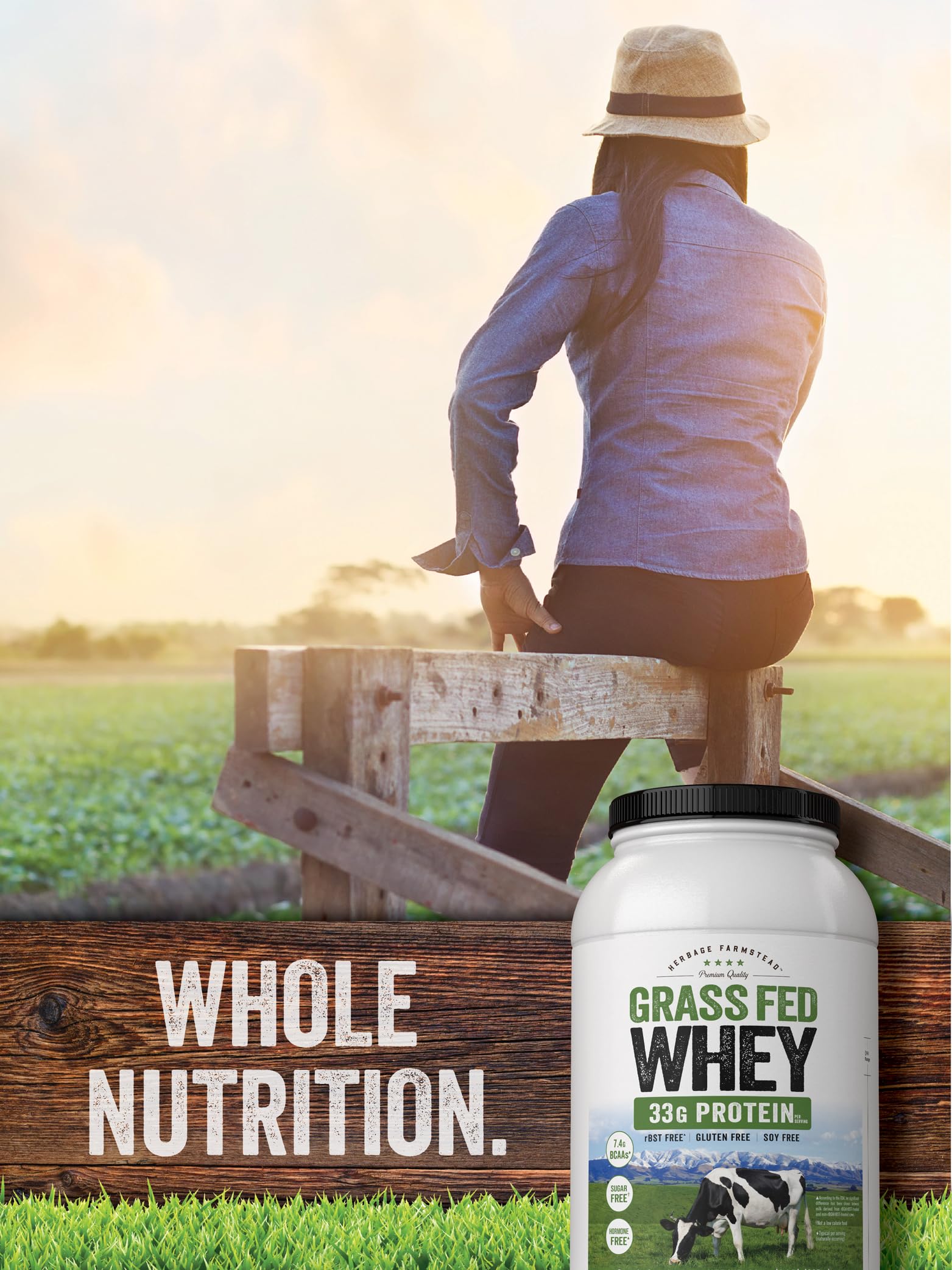 Carlyle en smoothie con frutas, mezcla versátil y nutritiva